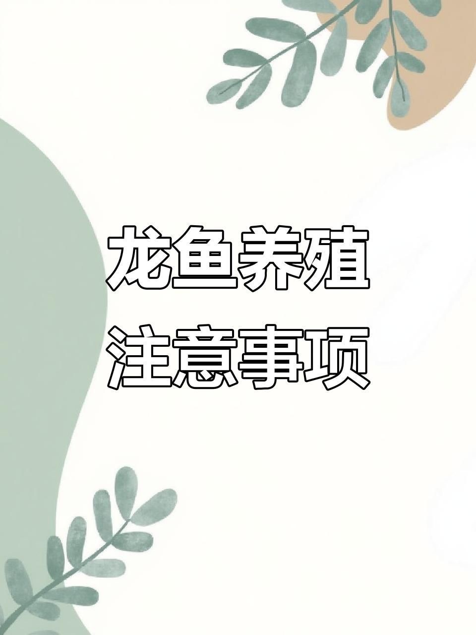 龍魚改口期間需要多久換一次水？【魚改口期間的換水頻率需謹(jǐn)慎把握，一般建議每3天換水一次】