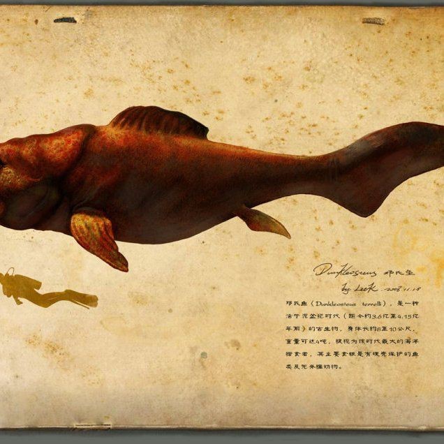恐龍時期的魚類【恐龍時期的魚類主要包括以下幾類代表性物種，或已滅絕】