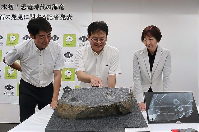 恐龍時期的魚類【恐龍時期的魚類主要包括以下幾類代表性物種，或已滅絕】