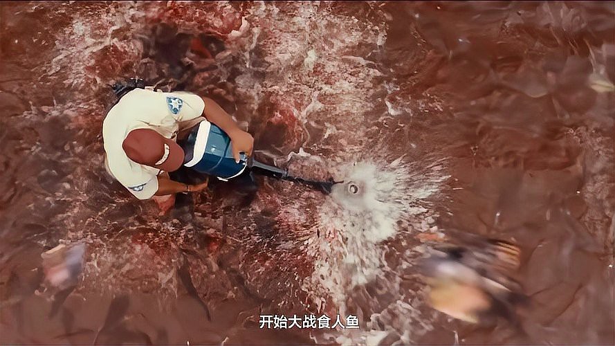 食人魚為何一般不吃人【食人魚真的會(huì)吃人嗎】 食人魚為何一般不吃人【食人魚真的會(huì)吃人嗎】 龍魚論壇 第2張
