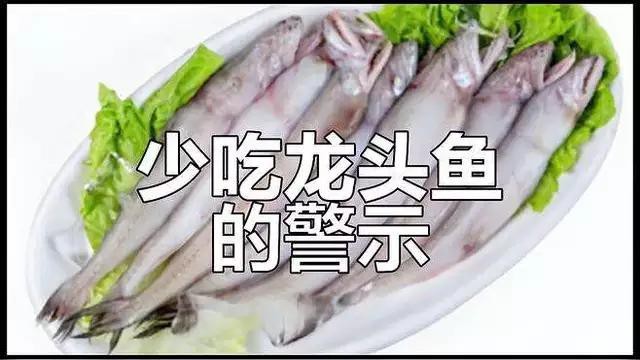 龍頭魚最忌諱放什么【《龍頭魚最忌諱放什么》】