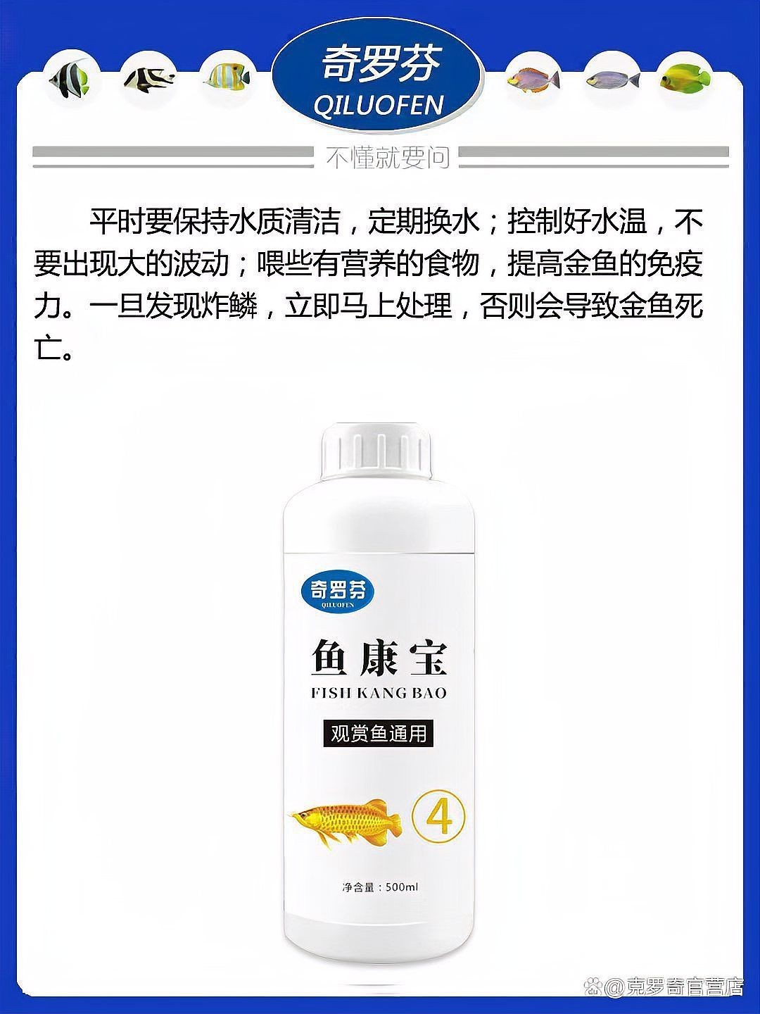 金魚大肚子炸鱗的早期癥狀有哪些？【金魚大肚子炸鱗是怎么回事怎么治療】