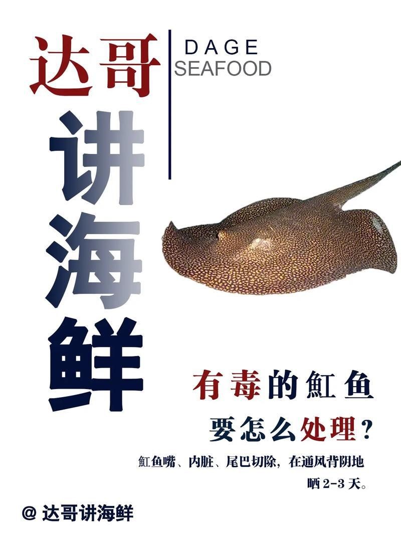 魟魚要生了圖片【《魟魚要生了：生命誕生前的獨特畫面》】