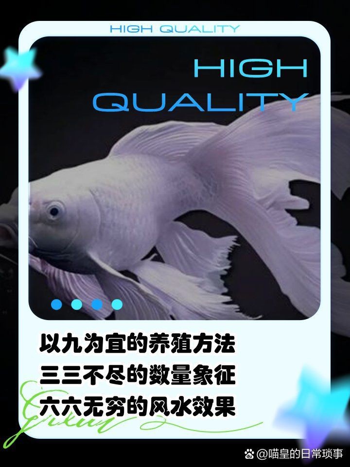 蝴蝶鯉風水作用【《蝴蝶鯉的風水作用》**風水作用】