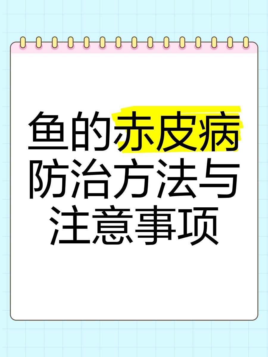 龍魚魚鰭根部充血會傳染嗎？【魚鰭根部充血是什么病】