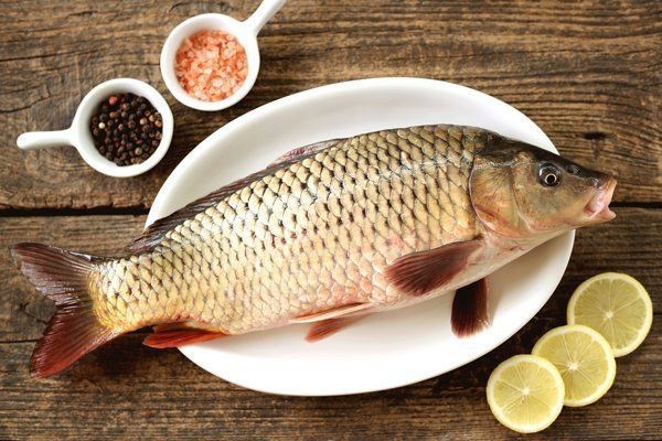 鯉魚是發物嗎【鯉魚是發物嗎,什么樣的人不能吃】