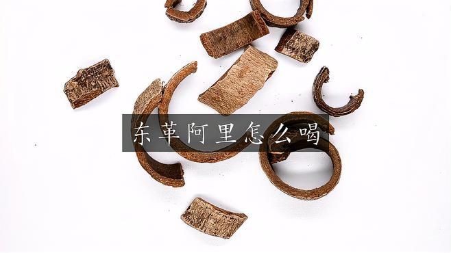 馬東革咖啡的正確喝法【東革阿里咖啡可以用涼水沖泡嗎】
