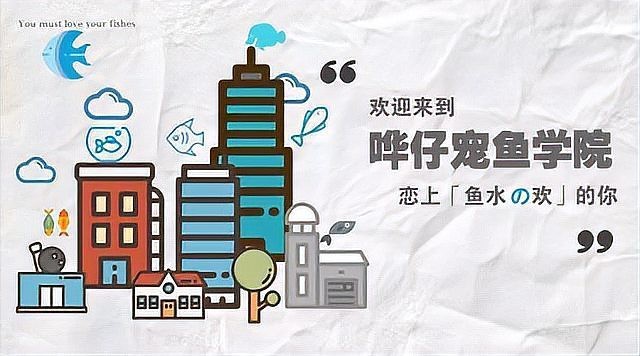 地圖魚有幾種品種【養魚大全，一條地圖魚要價500大洋】