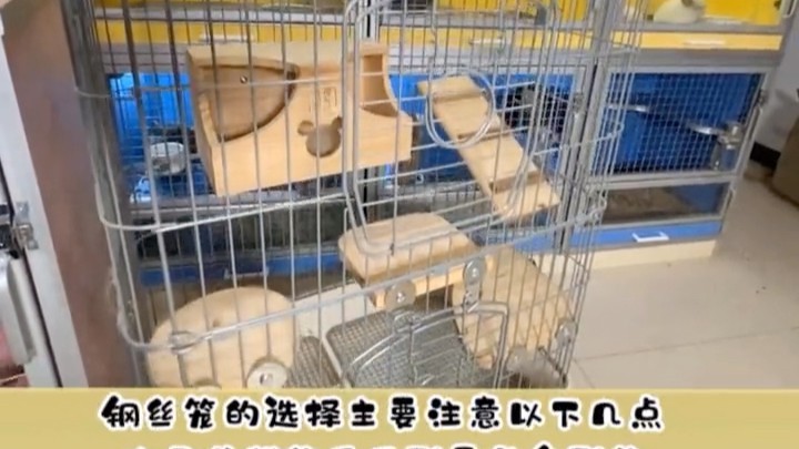 龍貓籠子材質哪種最好？【如何給龍貓選籠子】