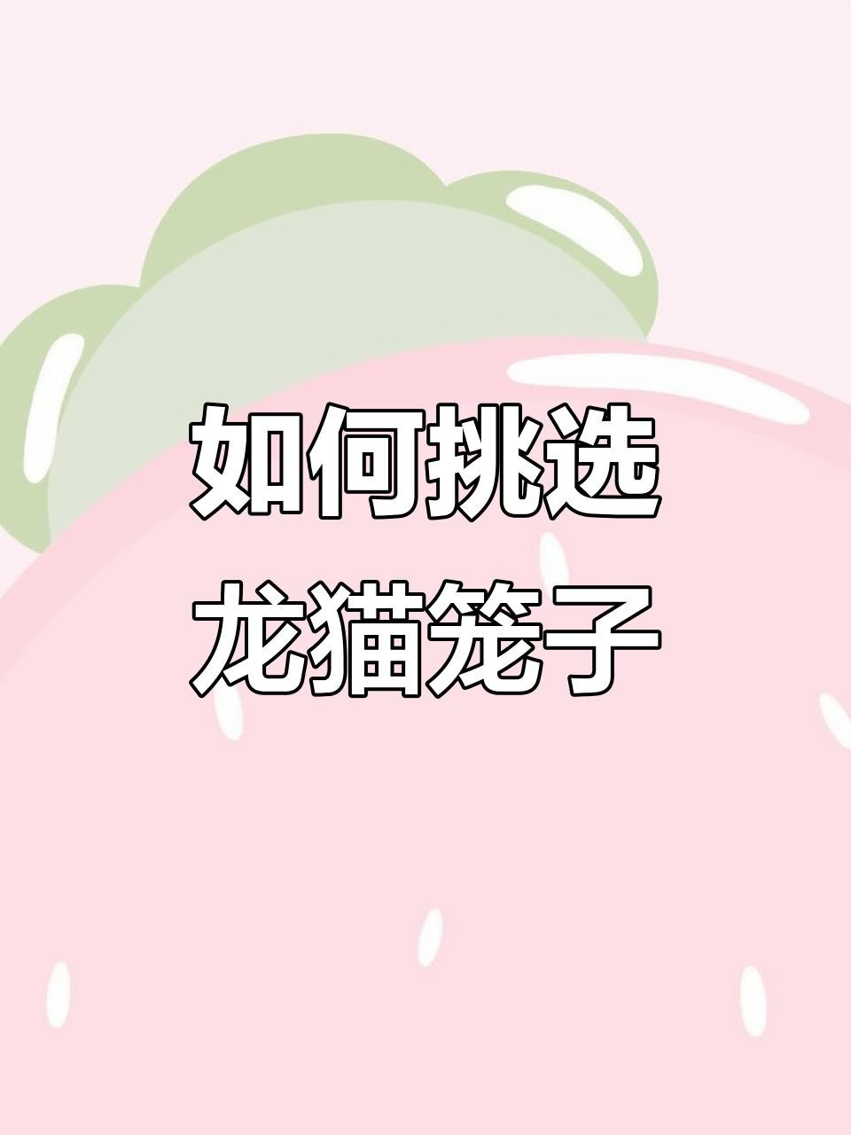 龍貓籠子材質哪種最好？【如何給龍貓選籠子】