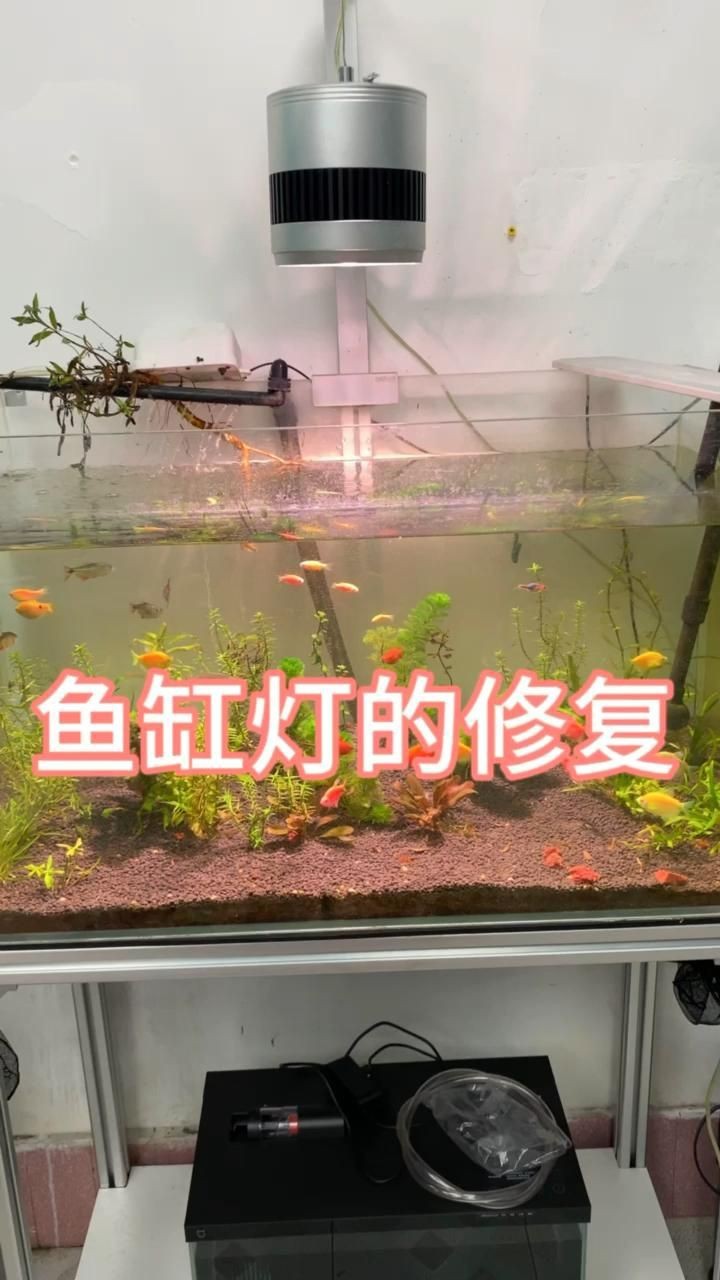 馬印魚缸照明燈壞了最簡單處理【當馬印魚缸的照明燈壞了能修嗎diy更換燈珠教程】