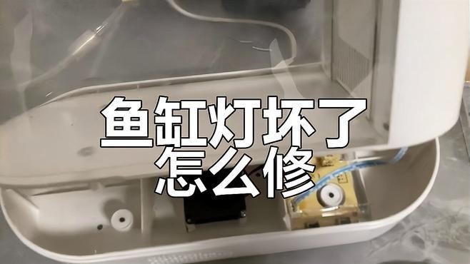 馬印魚缸照明燈壞了最簡單處理【當馬印魚缸的照明燈壞了能修嗎diy更換燈珠教程】