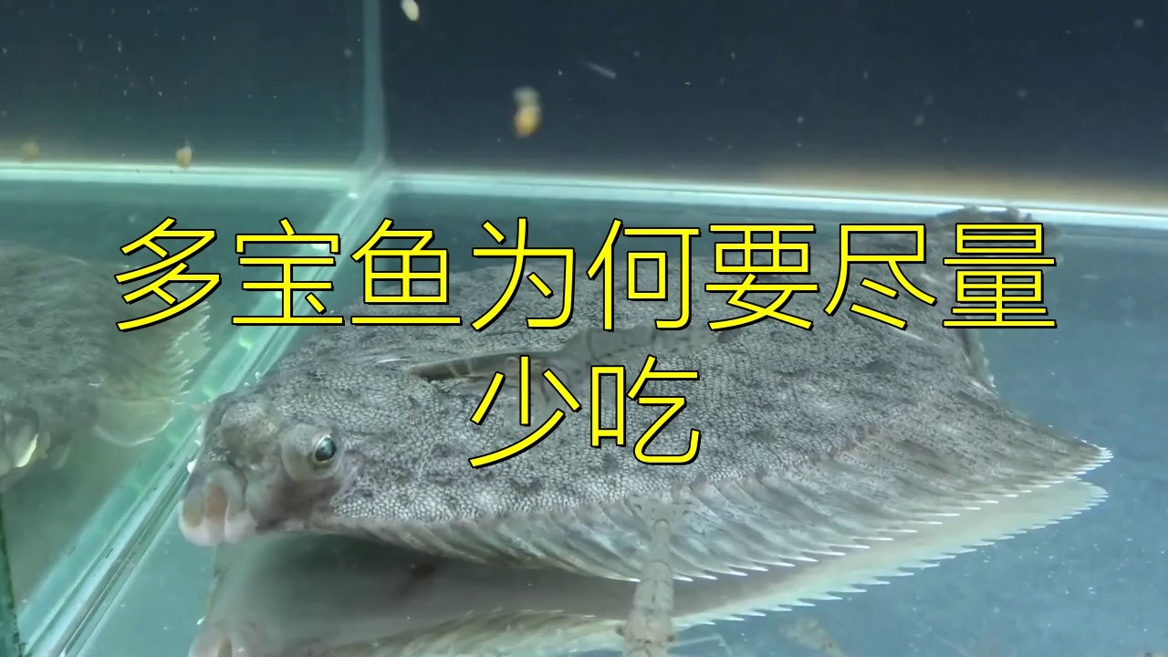 多寶魚盡量少吃的原因【多寶魚為什么不建議吃】