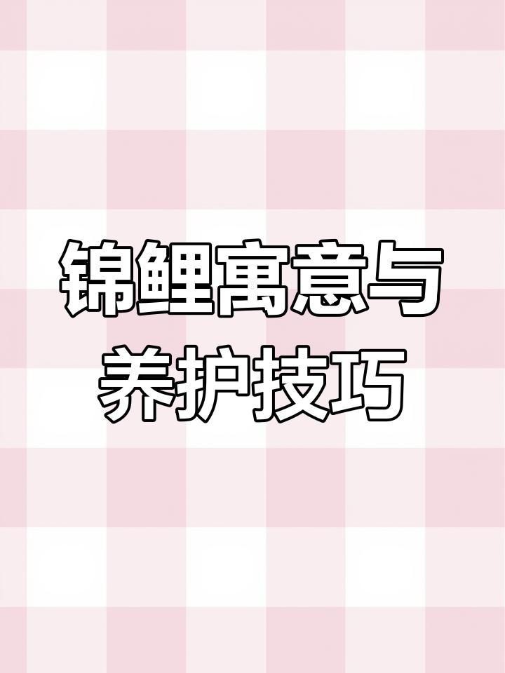 適合室內養的吉祥魚類【室內養魚增添生機與雅趣，不少吉祥魚類適宜室內養殖】