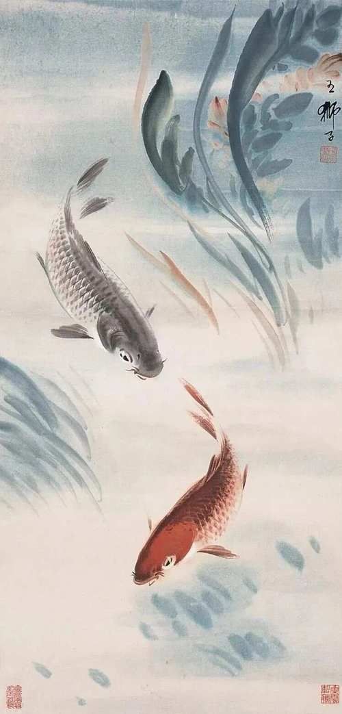 鯉魚圖案大全圖片【《鯉魚圖案大全圖片大全》】
