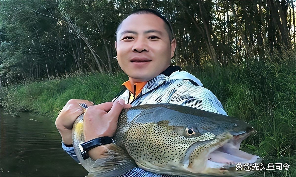 狗魚vs黑魚視頻【《狗魚與黑魚的較量視頻》**視頻】
