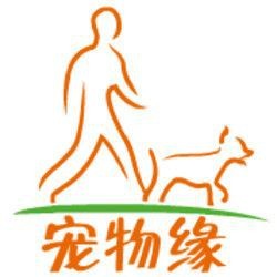 火焰孔雀魚長啥樣【十大最漂亮的孔雀魚，內(nèi)向李恬靜的阿森,】 火焰孔雀魚長啥樣【十大最漂亮的孔雀魚，內(nèi)向李恬靜的阿森,】 龍魚論壇 第32張