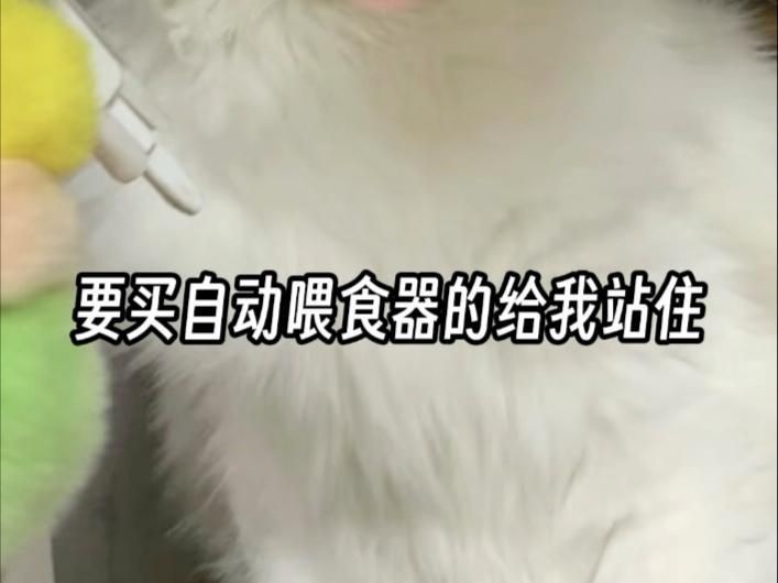 口碑最好的自動喂食器【口碑最好的自動喂食器**小佩智能自動喂食器推薦】
