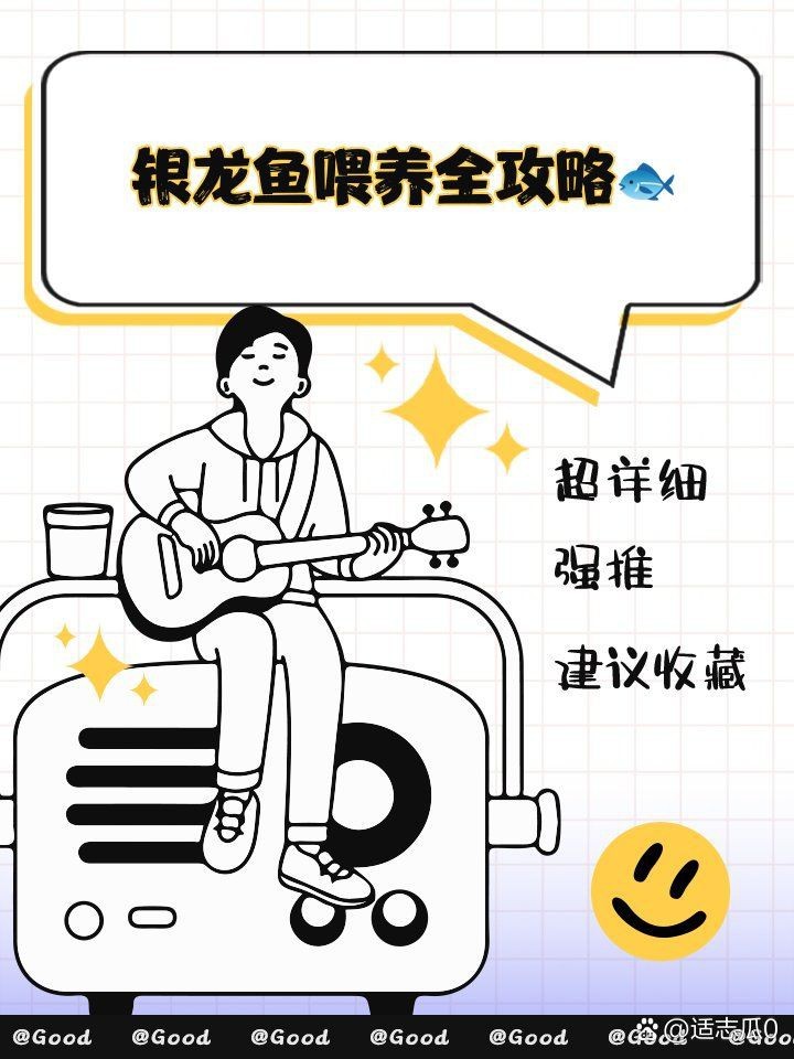 紅眼白子銀龍最簡單三個步驟【紅眼白子銀龍的飼養】