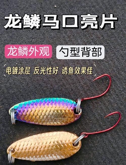 龍魚珠鱗片圖解【如何區分金龍魚品質】