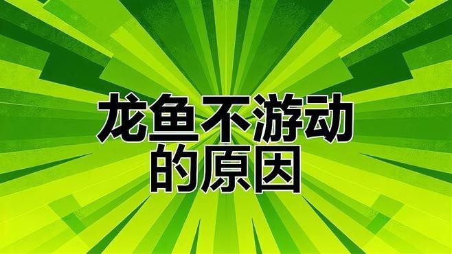 紅龍魚不愛游動最簡單三個原因【龍魚不愛游動可能有三個簡單原因，其一其一，】