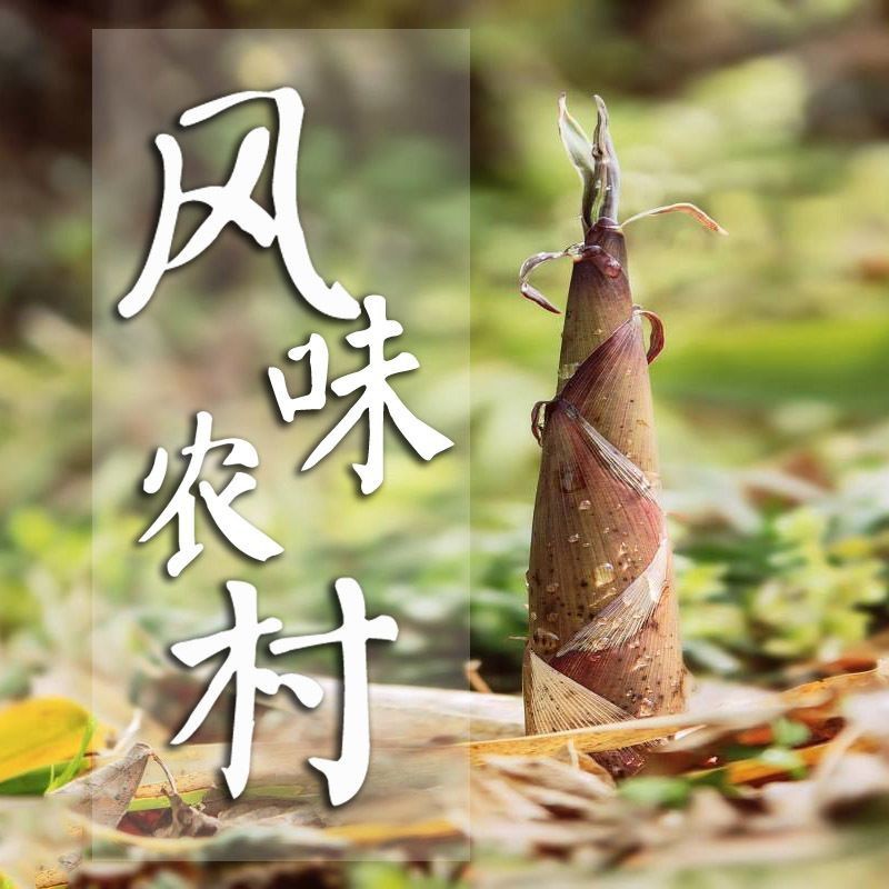 蝴蝶鯉魚糧排名前十名【2025年蝴蝶鯉魚糧排名前十名】