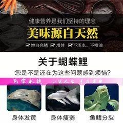 蝴蝶鯉魚糧排名前十名【2025年蝴蝶鯉魚糧排名前十名】