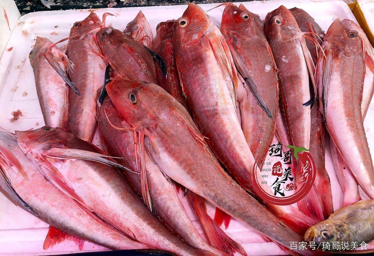 紅娘魚紅頭魚是深海魚嗎【紅娘魚和紅頭魚并非嚴格意義上的深海魚】