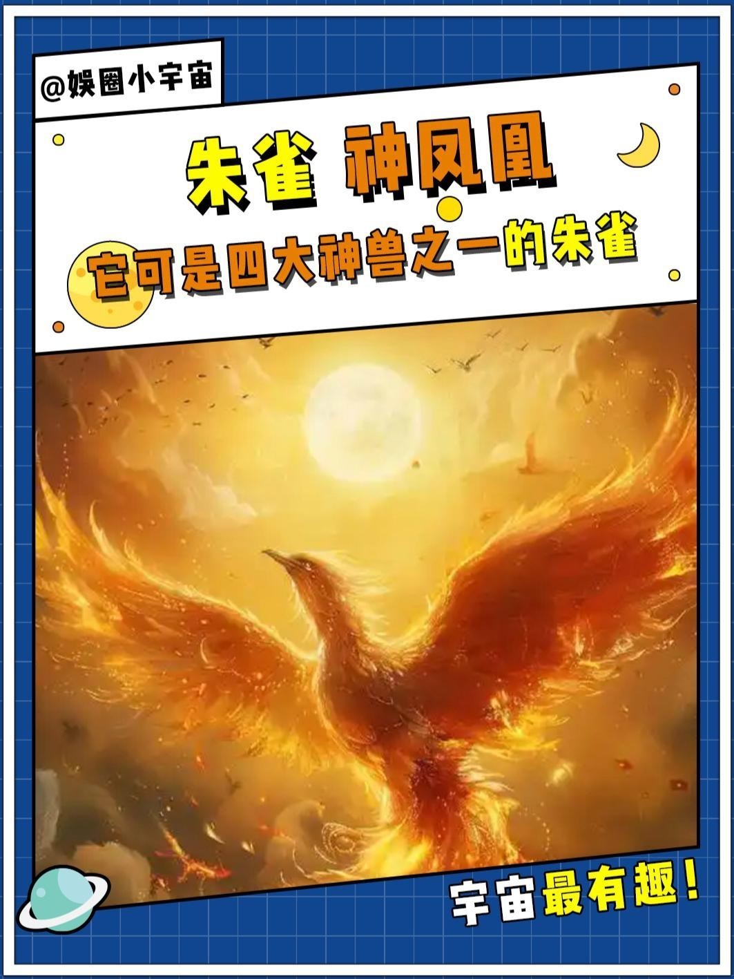 鳳凰和朱雀誰更高貴【鳳凰與朱雀哪個地位更高】