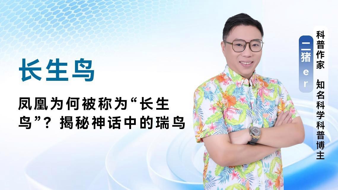 鳳凰和朱雀誰更高貴【鳳凰與朱雀哪個地位更高】