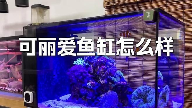 可麗愛老款魚缸值不值得入手【可麗愛老款魚缸是否值得入手】