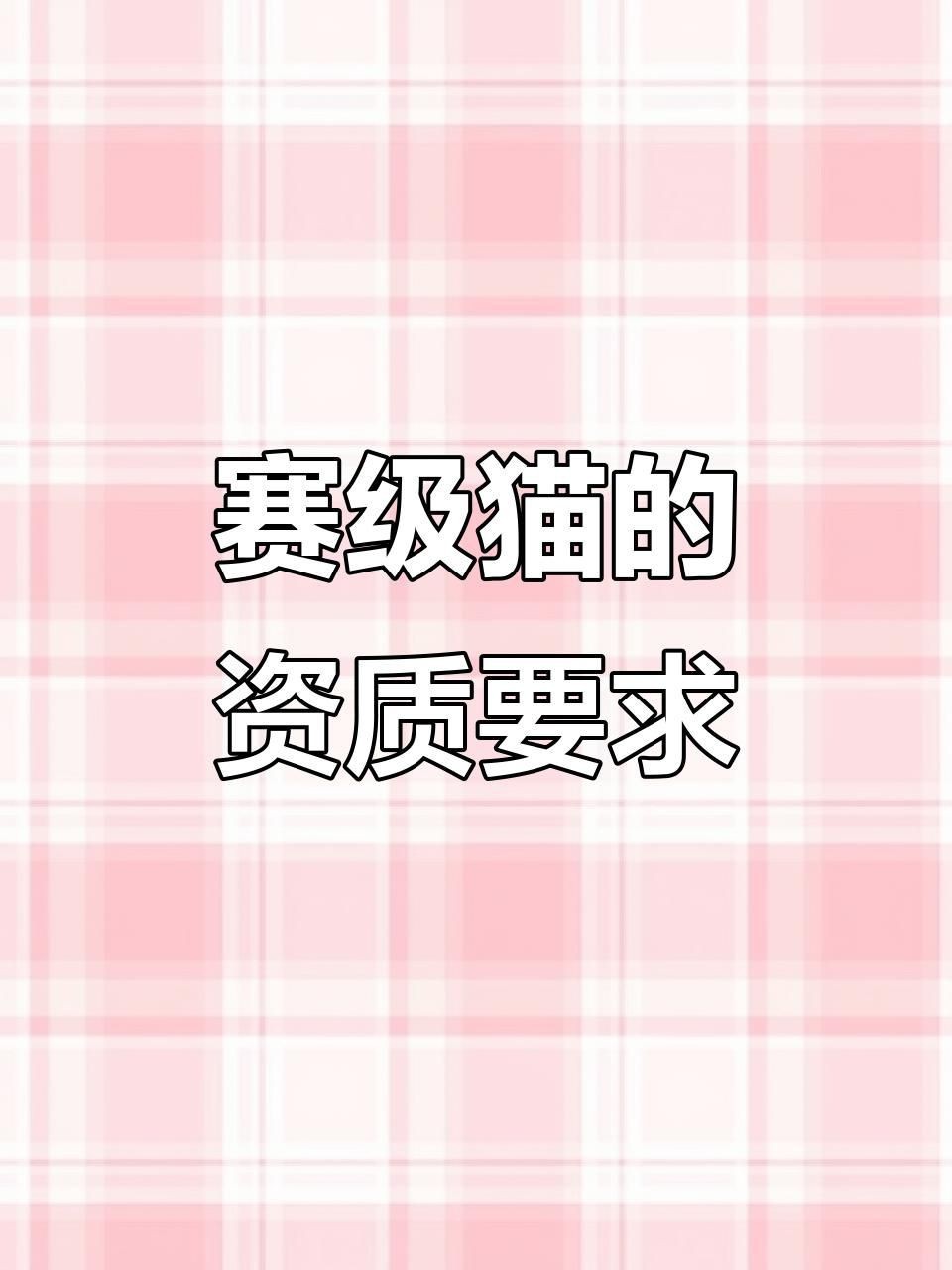賽級貓與普通貓的區別【賽級貓與普通貓有什么不同】