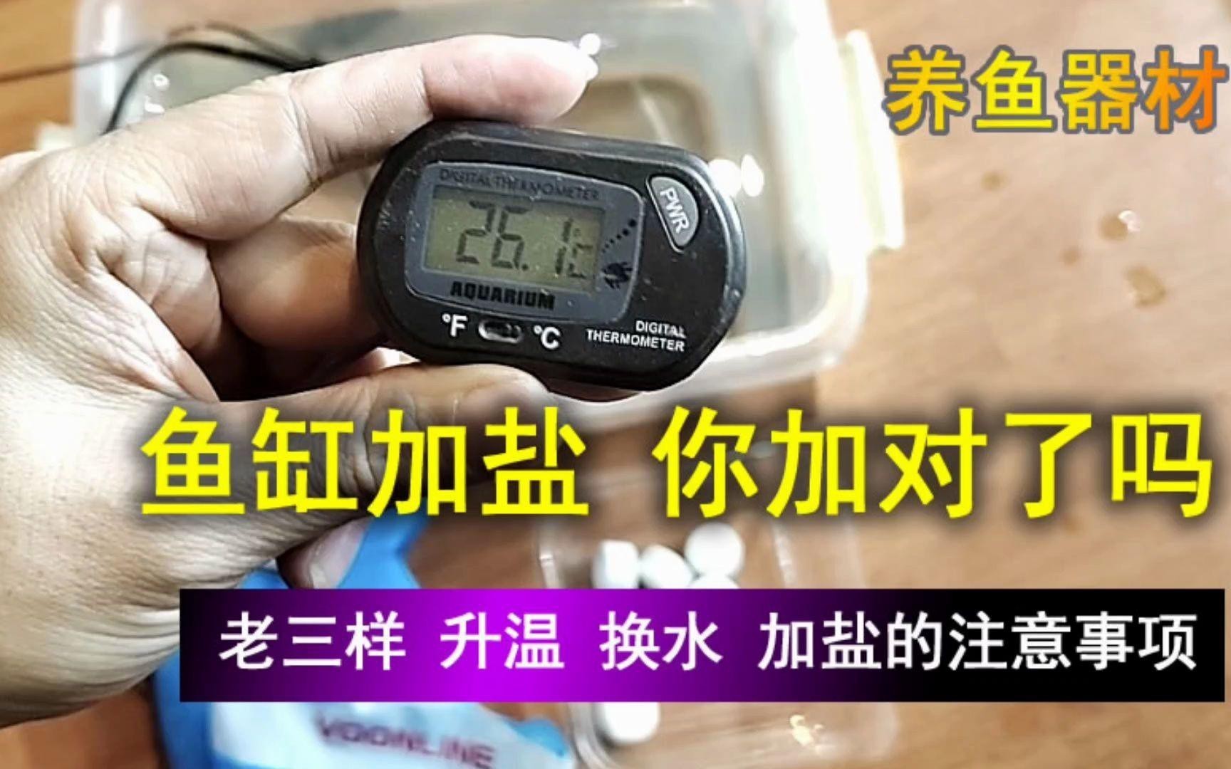 龍魚浮頭加粗鹽有用嗎？【龍魚浮頭時加粗鹽可能有一定作用但效果因具體情況而異】