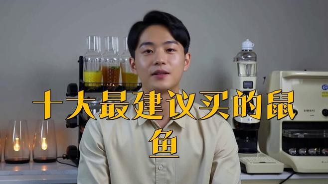 什么鼠魚性價比最高【\