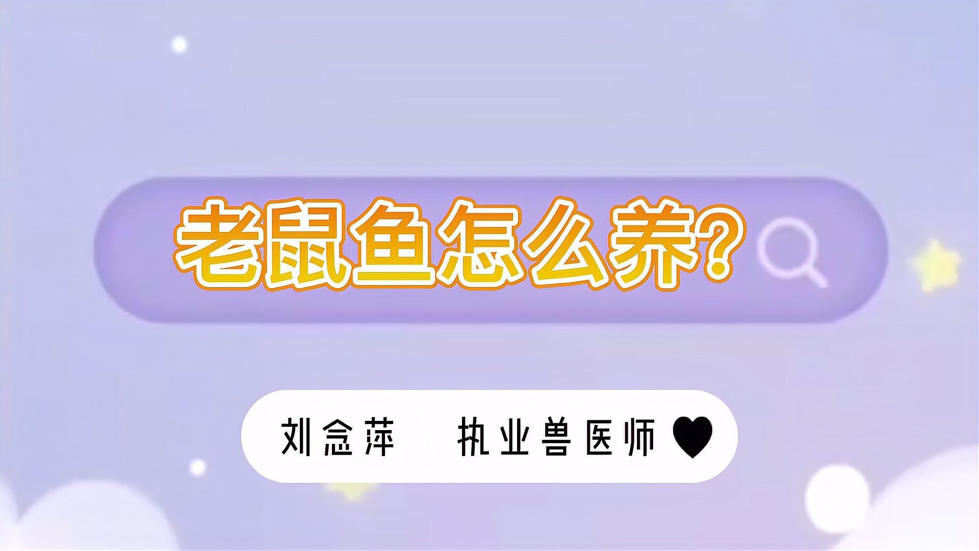 什么鼠魚性價比最高【\
