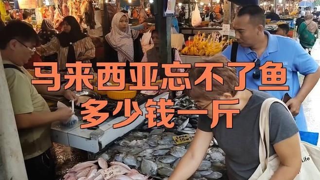 馬來忘不了魚多少一斤【馬來忘不了魚多少錢一斤】