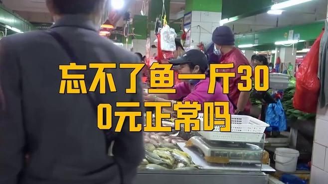 馬來忘不了魚多少一斤【馬來忘不了魚多少錢一斤】