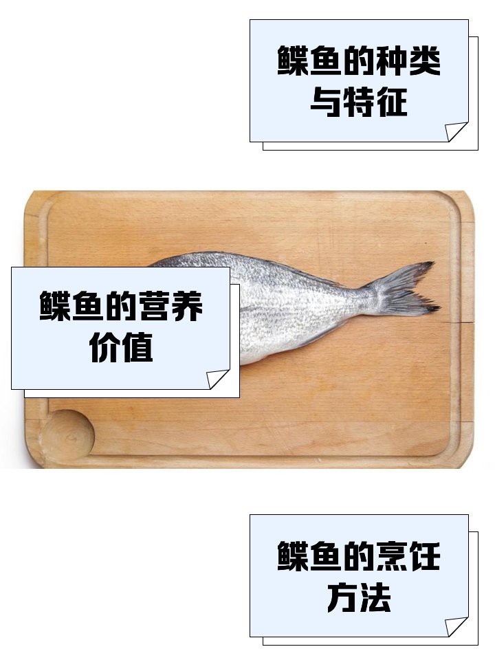 鰈魚是海魚還是淡水魚呢【深海鰈魚大揭秘】