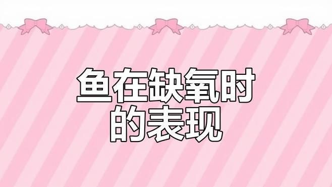 如何判斷金魚浮頭是否缺氧？【金魚浮頭一定是缺氧了嗎】