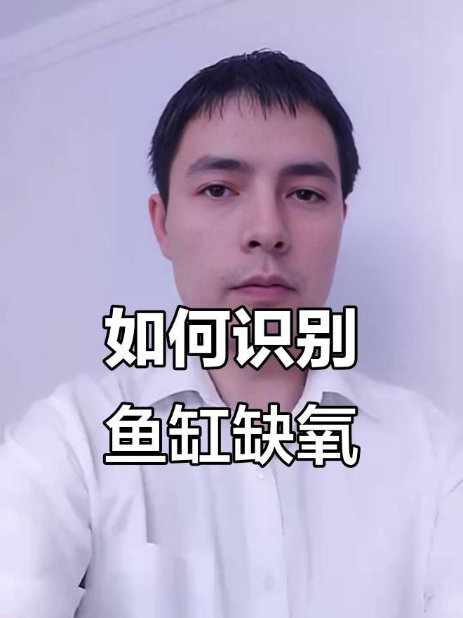如何判斷金魚浮頭是否缺氧？【金魚浮頭一定是缺氧了嗎】 如何判斷金魚浮頭是否缺氧？【金魚浮頭一定是缺氧了嗎】 龍魚百科 第4張