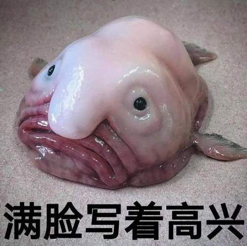 鬼鯊長什么樣子【海底怪物:鬼鯊】