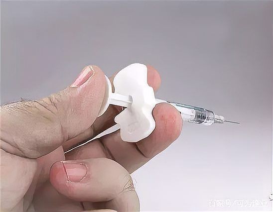 錦鯉紅色變成白色了【養殖錦鯉的注意事項】