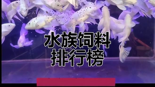 觀賞魚飼料十大品牌 龍魚論壇 第3張 觀賞魚飼料十大品牌 觀賞魚飼料十大品牌 龍魚論壇 第3張