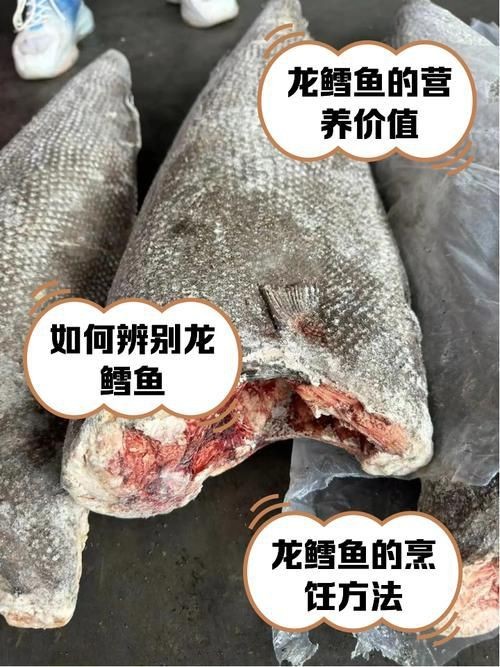 龍鱈魚圖片【江曉晨初見便傾心,龍鱈魚南橙挑水果】