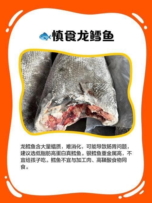 龍鱈魚圖片【江曉晨初見便傾心,龍鱈魚南橙挑水果】