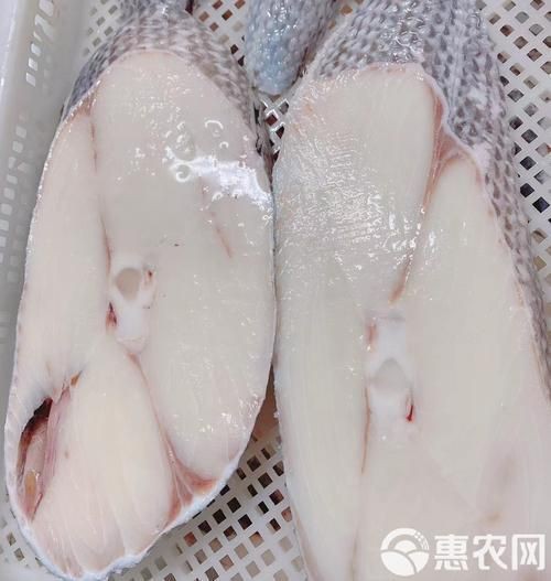 龍鱈魚圖片【江曉晨初見便傾心,龍鱈魚南橙挑水果】