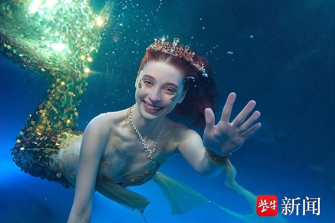 海象的寓意【《標識的成為》海象的寓意】