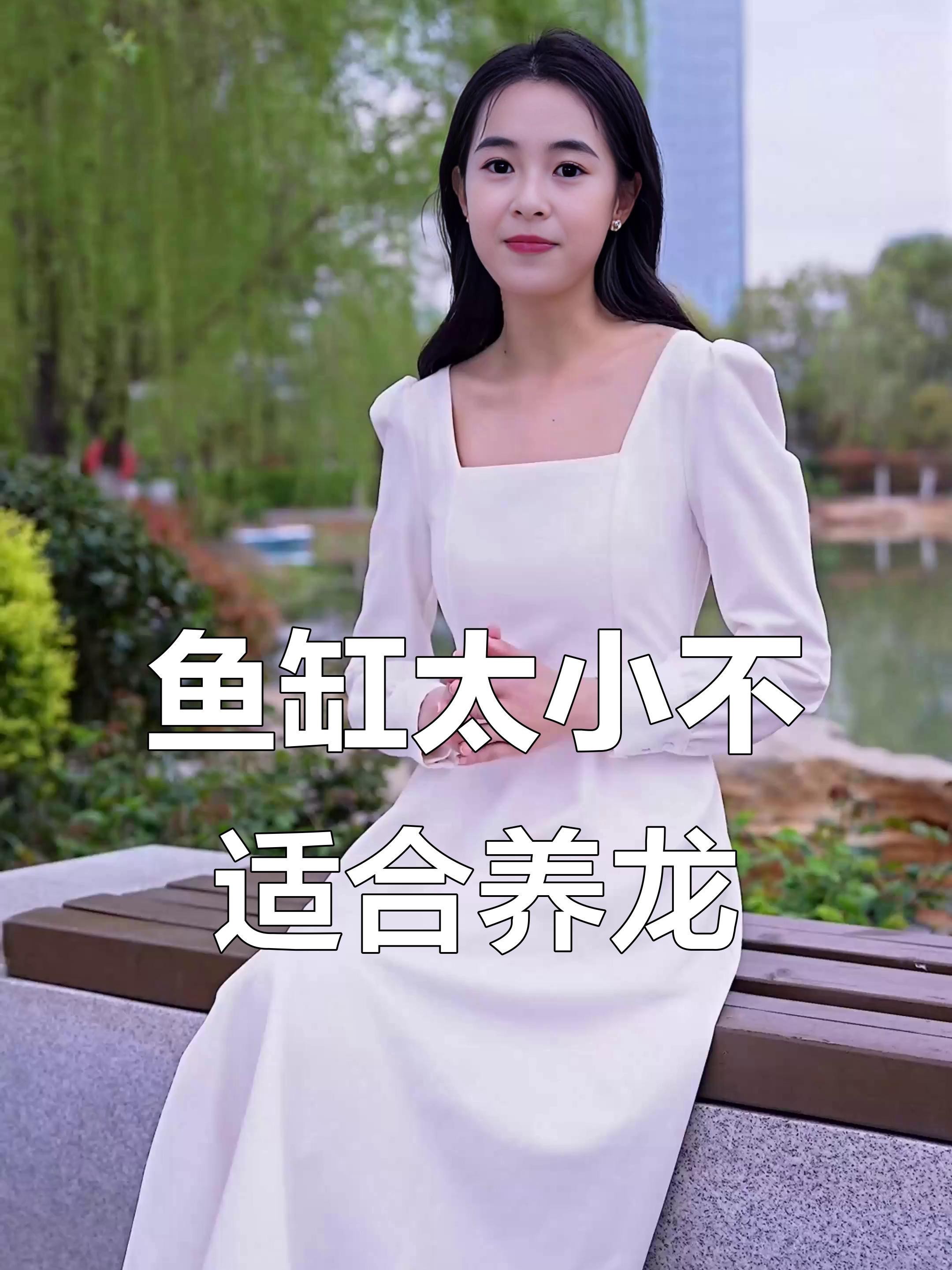 長期在小缸里養龍會有什么后果？【小缸養龍魚的后果堪憂！】