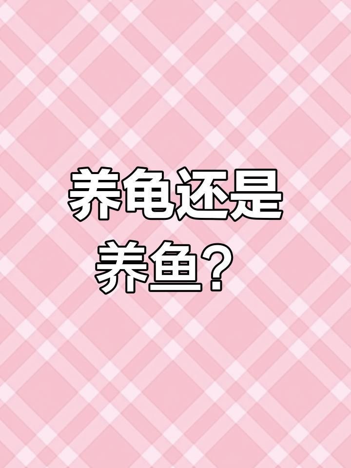 龍魚和烏龜哪個更吉利【龍魚和烏龜哪個更吉利，哪個更吉利】