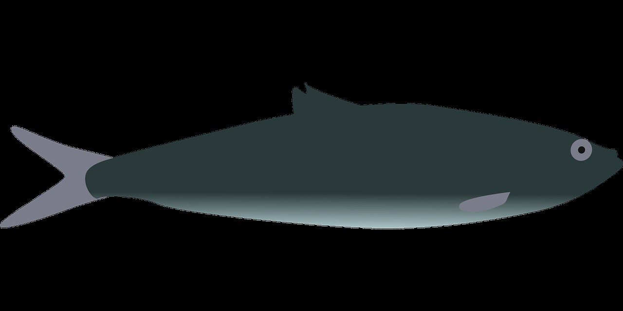 風(fēng)水魚養(yǎng)幾條【風(fēng)水魚數(shù)量的選擇原則】